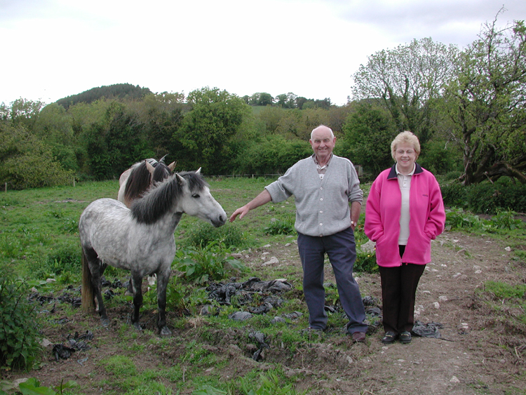 Tommy and Maura Bradfield at Killowen with horses 2.jpg 447.9K